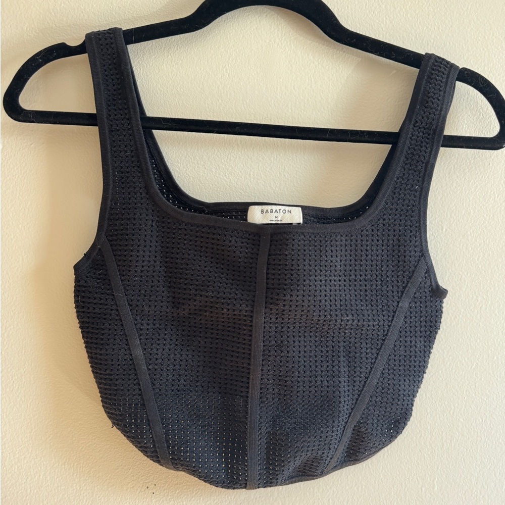 Aritzia Babaton Mesh Crop Top